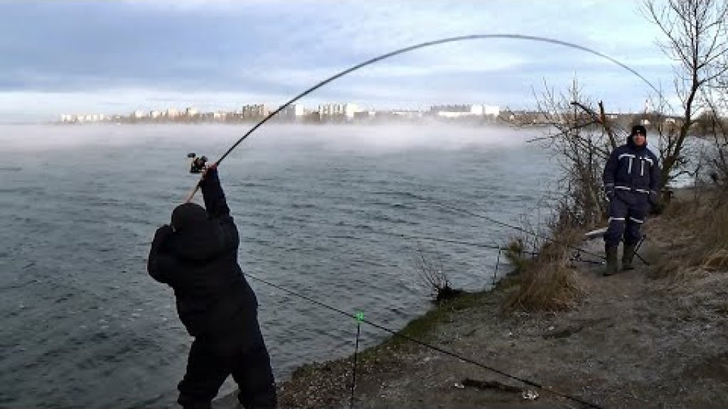 Первая рыбалка на ФИДЕР в 2020 году