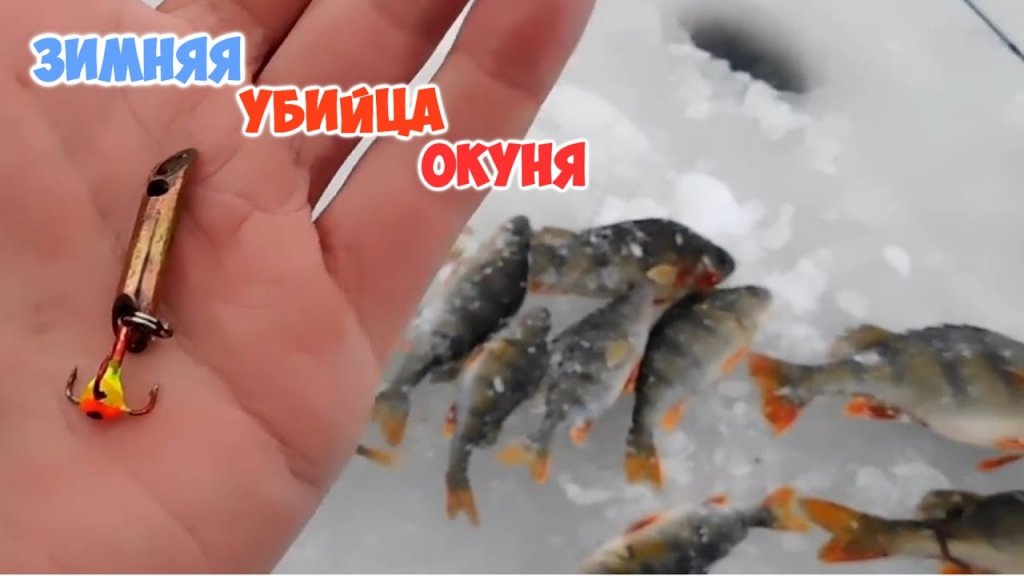 Зимняя гальванобимталическая блесна из трубки своими руками на окуня, судака и щуку Зимняя гальванобимталическая блесна из трубки своими руками на окуня, судака и щуку