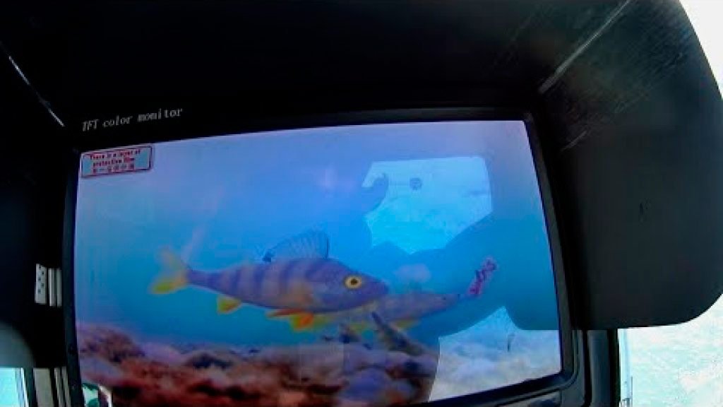 Зимняя рыбалка с дешёвой подводной камерой. Ловим вприглядку