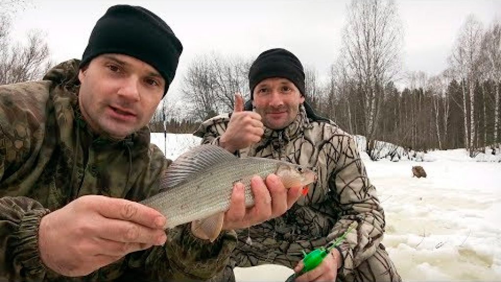 Ловля хариуса зимой на донки. Трофей с бонусом во рту, редкое явление!