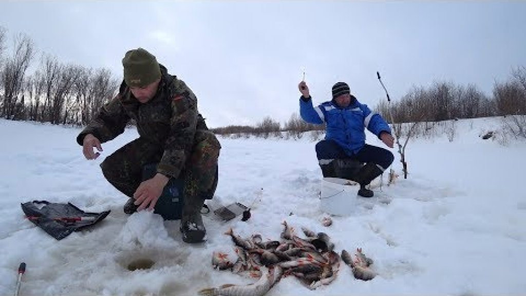 Нашли рыбу. Окуни и щуки с одной лунки лезут и лезут! Рыбалка на севере