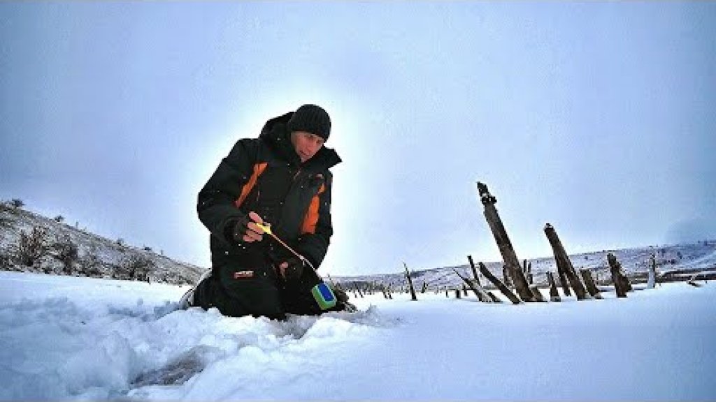 20 лет не был на этом пруду. Нашёл здоровых карасей.