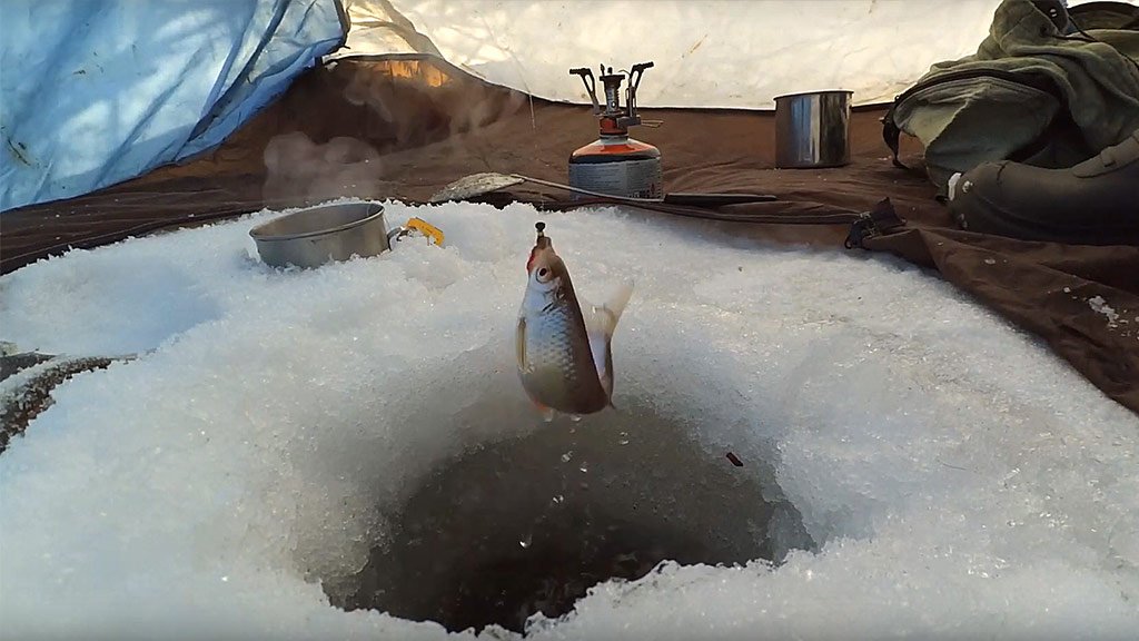 Удачная зимняя рыбалка в феврале