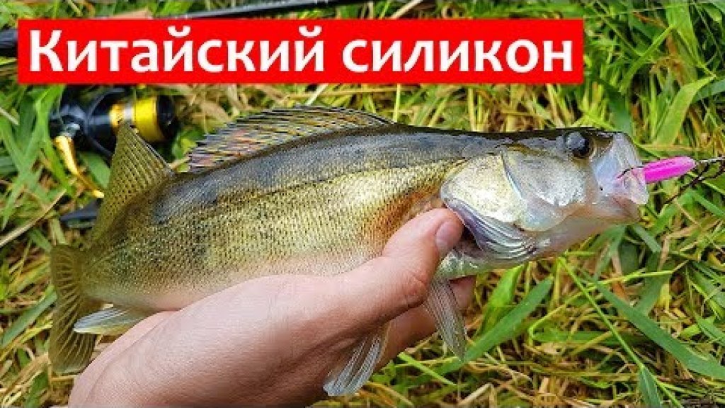 Лучший китайский силикон