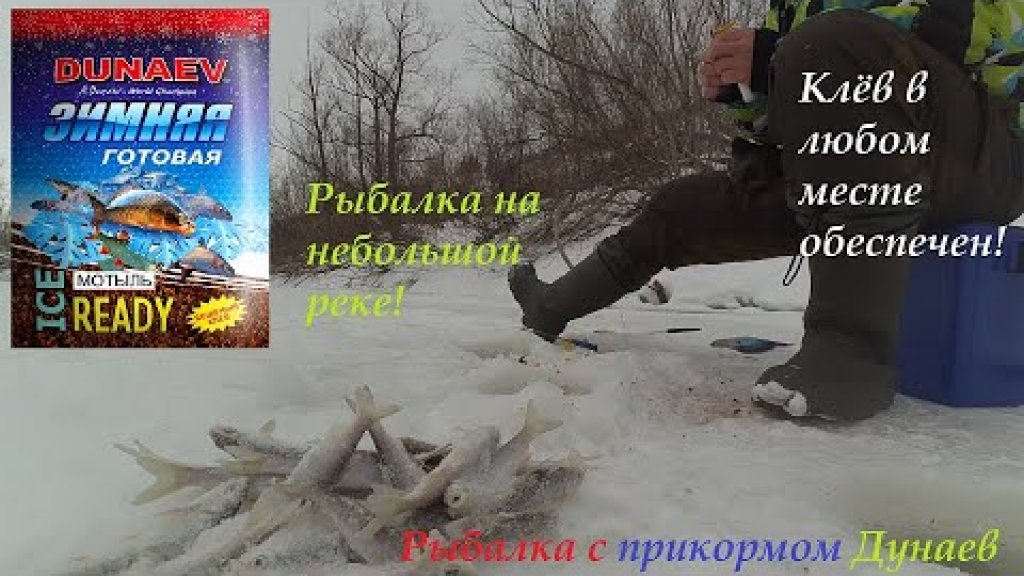Ловлю плотву с прикормом "Дунаев мотыль" Ловлю плотву с прикормом "Дунаев мотыль"