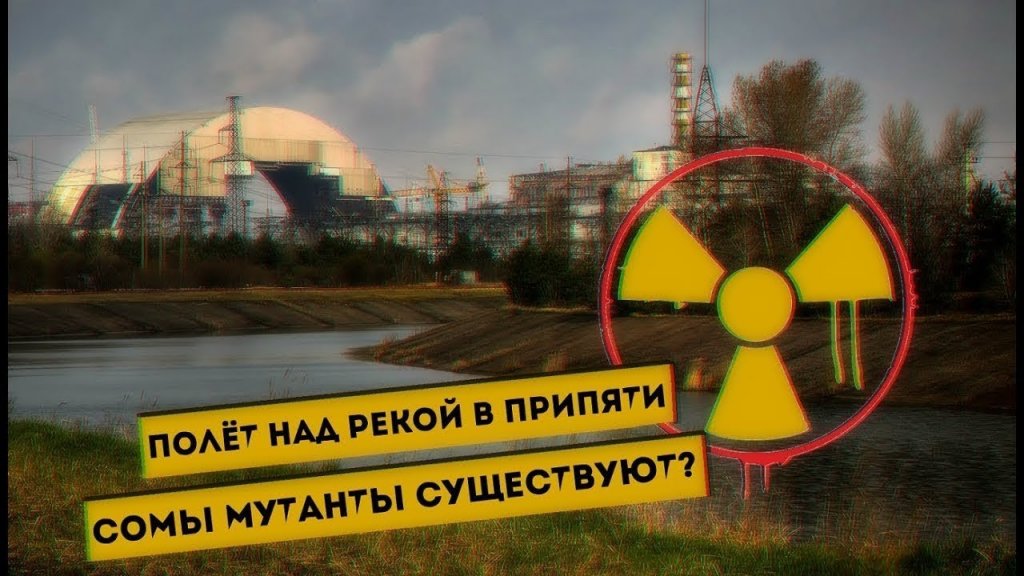 Полет над рекой в Припяти. Сомы мутанты Полет над рекой в Припяти. Сомы мутанты