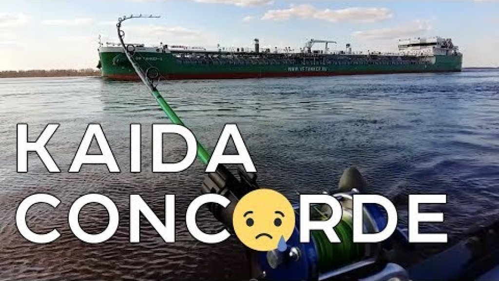 Kaida Concorde: бюджетник для троллинга Kaida Concorde: бюджетник для троллинга