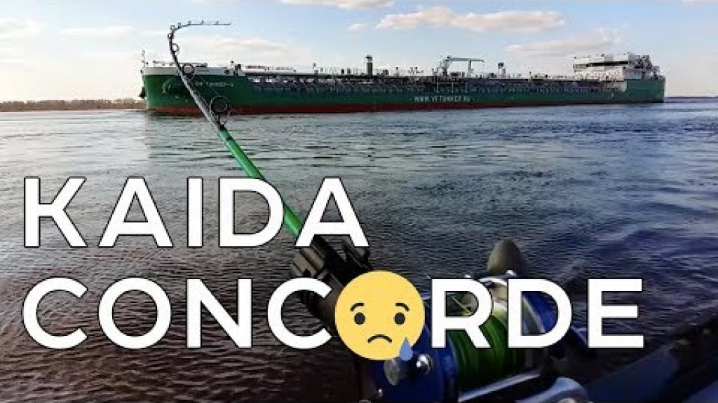 Kaida Concorde: бюджетник для троллинга