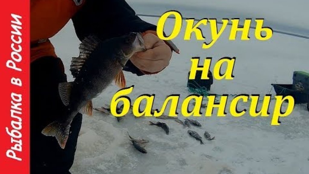 Ловля окуня на балансир Rapala. Жор окуня на жабу.