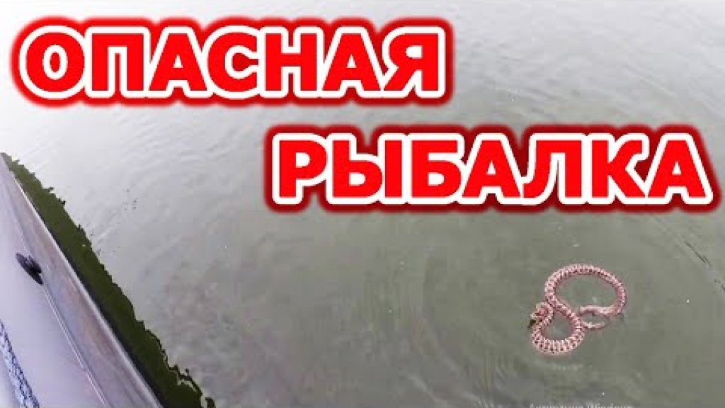 Змея атакует! Рыбалка на водохранилище спиннингом на щуку и окуня с подписчиком