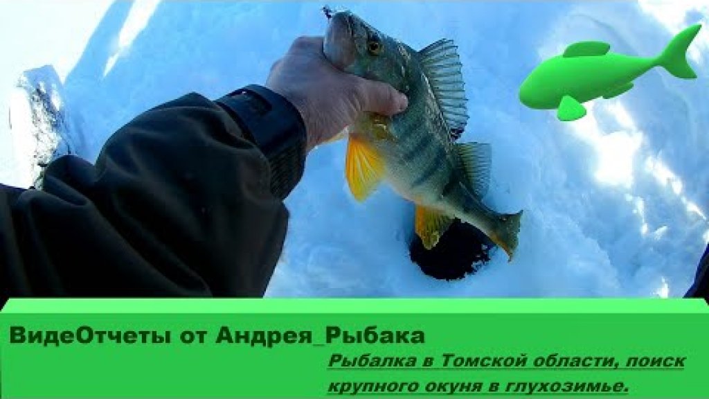 Рыбалка в Томской области, поиск крупного окуня в глухозимье.