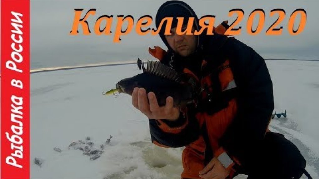 Ловля окуня на балансир.  Рыбалка в Карелии 2020.  Часть 2