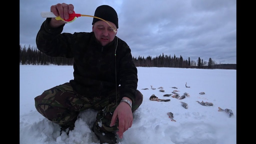 Поиск окуня. Окунь на мормышку. Полтора ведра рыбы. Поиск окуня. Окунь на мормышку. Полтора ведра рыбы.