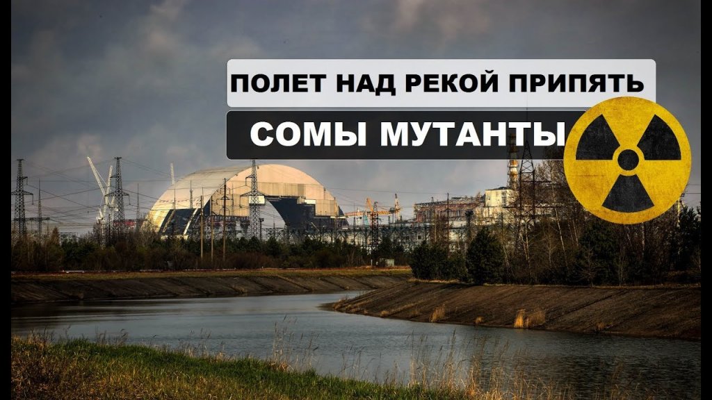 Полет над рекой в Припяти. Сомы мутанты Полет над рекой в Припяти. Сомы мутанты