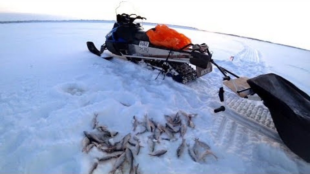 Рыбы украли удочку / отличная рыбалка на севере / зимняя рыбалка