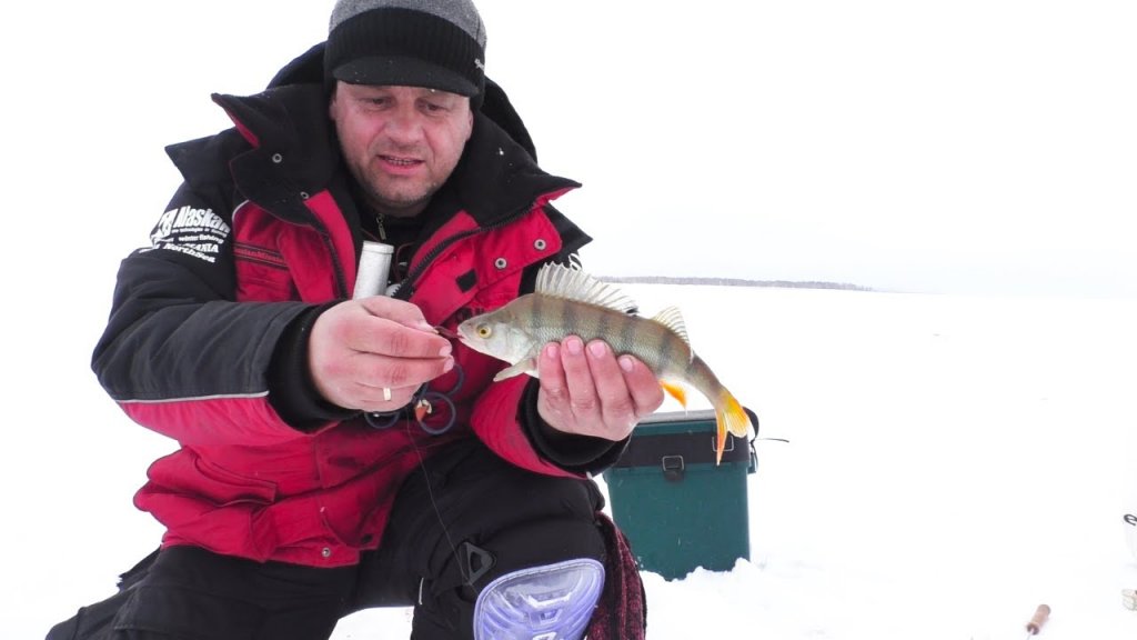 Рыбалка на самом большом озере в западной Сибири. День 2- хищный карась и не только.