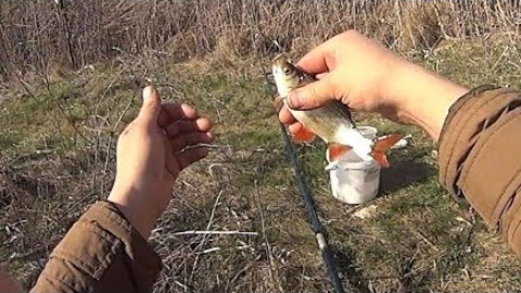 Открытие сезона ловли на поплавок... Открытие сезона ловли на поплавок...