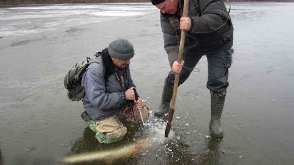Как ловить щуку на жерлицы зимой. Поиск рыбы и способы ловли на живца
