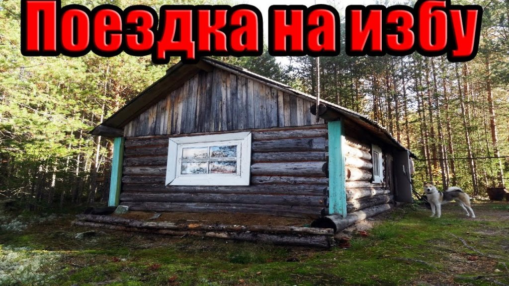 Поездка в лес на избу. Рыбалка. Осень 2019