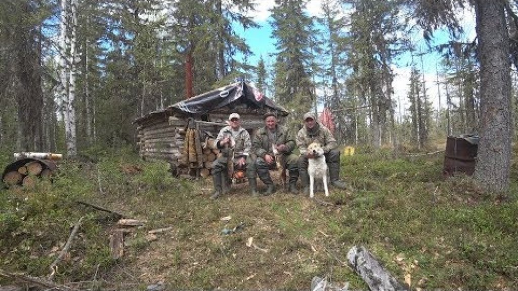 Поездка в лес. Ремонт избы