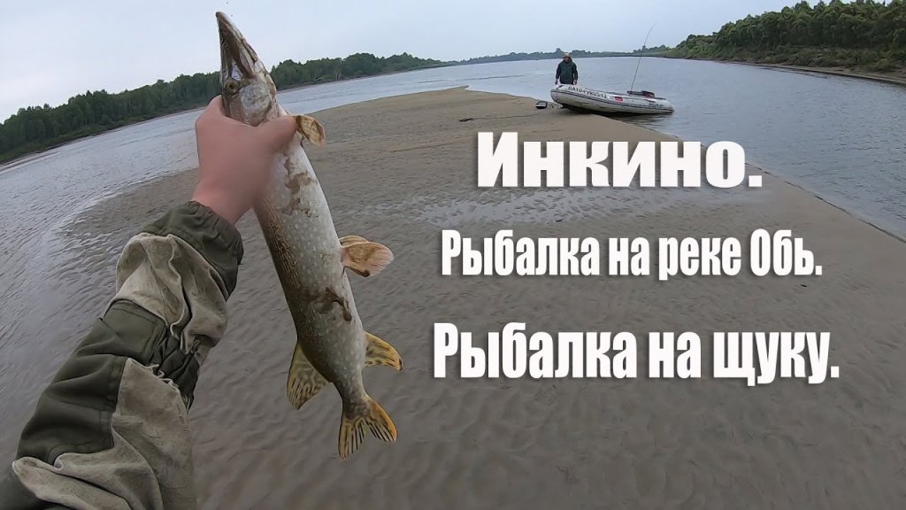 Инкино | Рыбалка на реке Обь | Русская рыбалка на щуку