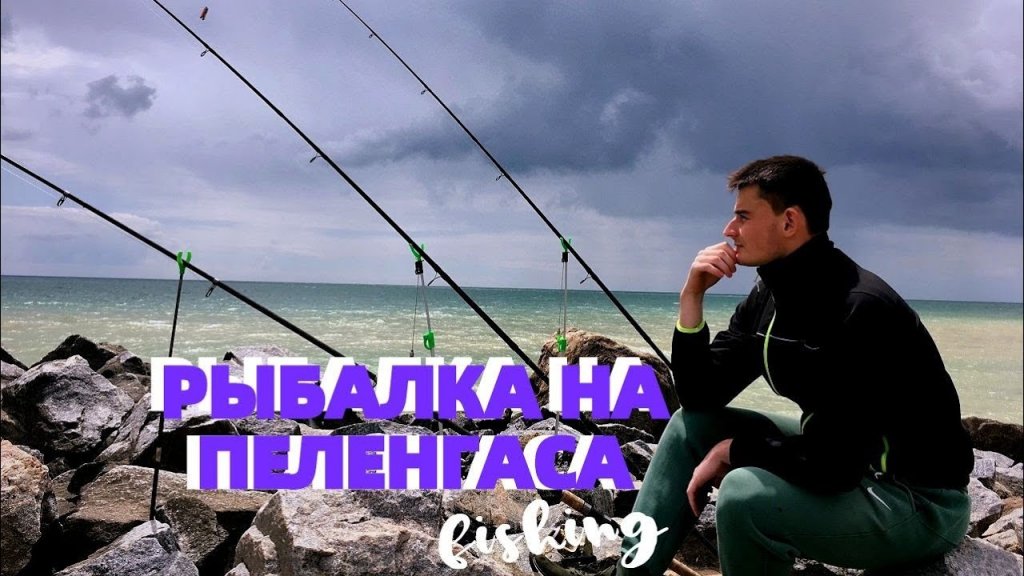 Рыбалка на пеленгаса 2020 ? рыбалка на азовском море ? трудовая рыбалка в запорожской области.
