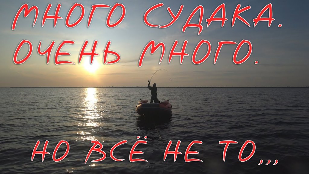 Судак на джиг. Приманки на судака в действии