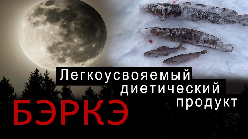Налим. Зимняя рыбалка в Якутии. Налим. Зимняя рыбалка в Якутии.