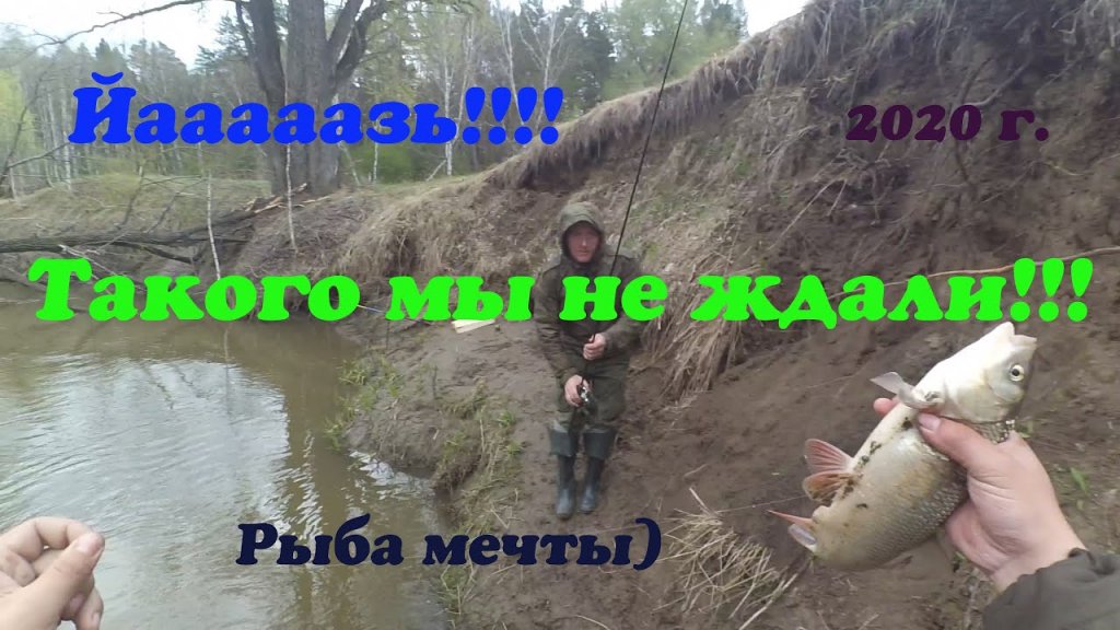 Первая поплавочка 2020. Язь в маленькой речке. Рыбалка на донку. Первая поплавочка 2020. Язь в маленькой речке. Рыбалка на донку.