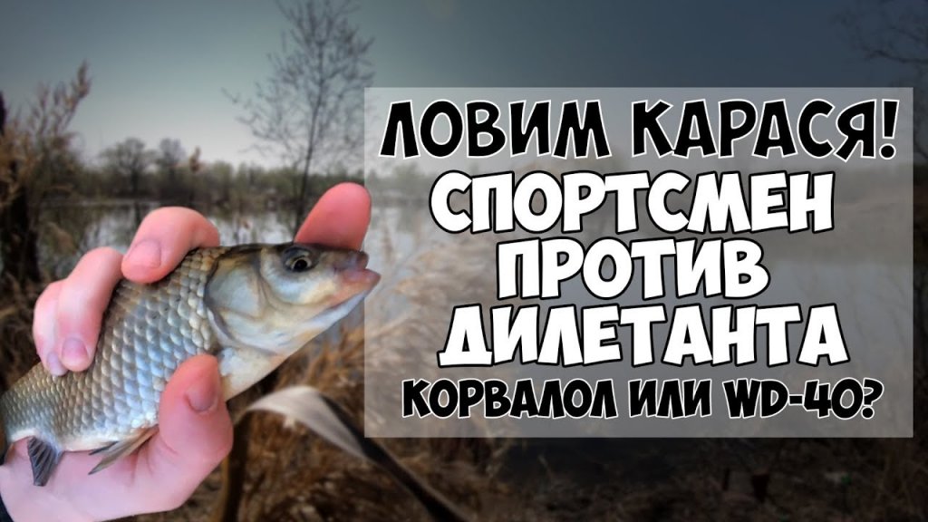 Открытие рыбалки на карася весной. Эксперимент: спортсмен против дилетанта (0:1). Открытие рыбалки на карася весной. Эксперимент: спортсмен против дилетанта (0:1).