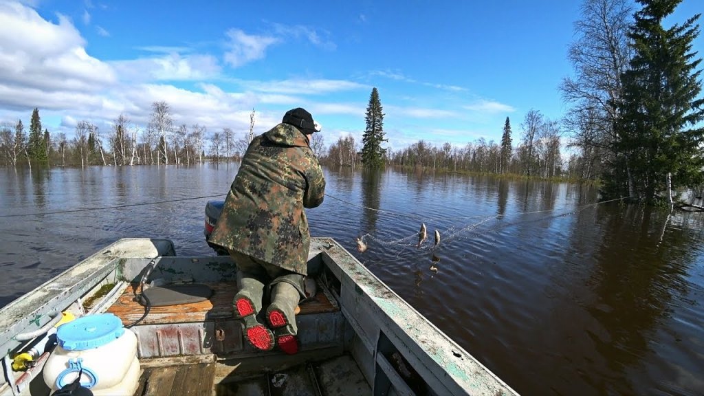 Рыбалка на сети в затопленном лесу. Нашли ход рыбы.