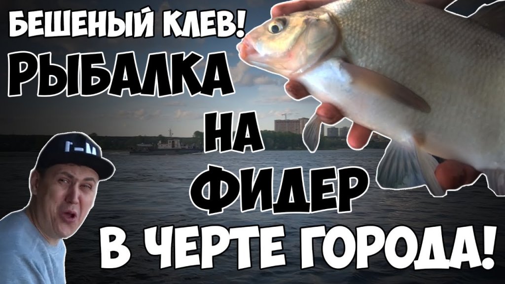 Ловим леща на фидер в черте города. Спортсмен против дилетанта (3:1) Ловим леща на фидер в черте города. Спортсмен против дилетанта (3:1)