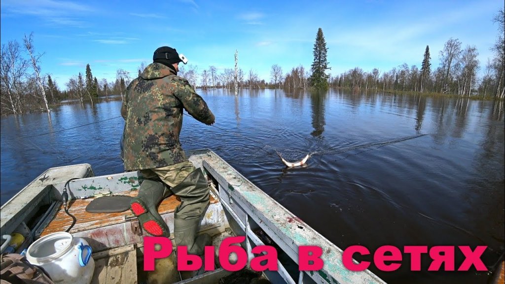 Сибирский Регион Рыбалка Видео Новое 2022 Год