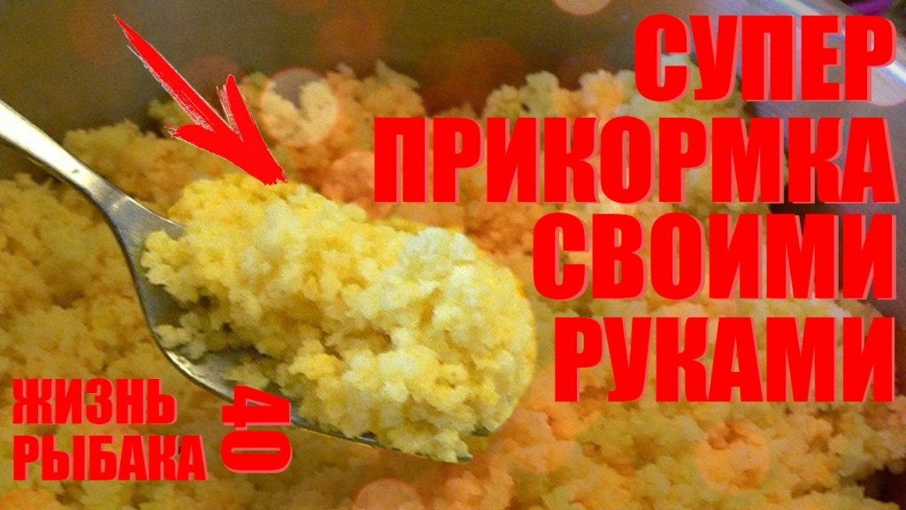 Рыболовная прикормка на карася, леща и карпа. Прикормка своими руками