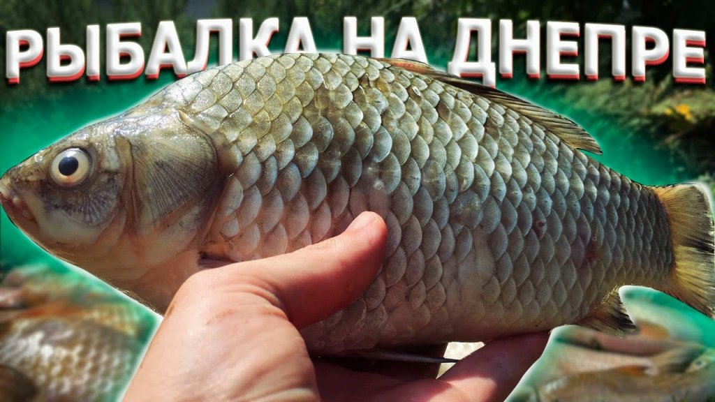 Рыбалка в запорожье на каховском водохранилище 🔥рыбалка с ночевкой на днепре ✨ Рыбалка в запорожье на каховском водохранилище 🔥рыбалка с ночевкой на днепре ✨