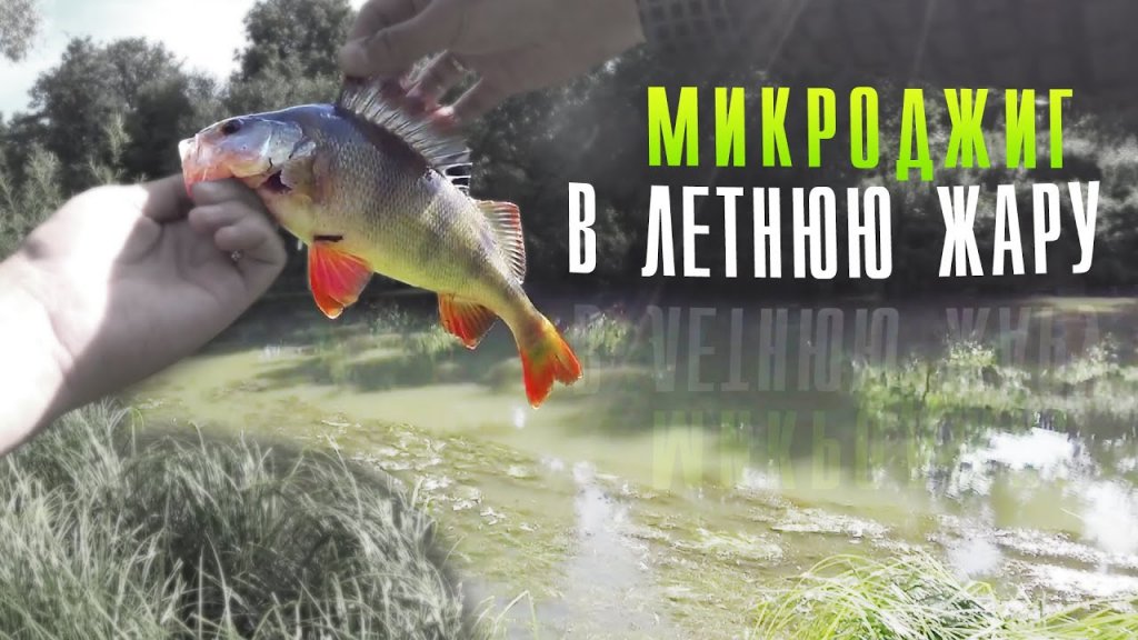 МИКРОДЖИГ, ловля окуня ЛЕТОМ на реке