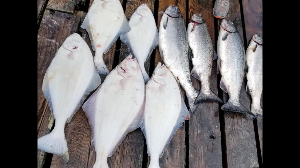 Рыбалка на лосося и палтуса