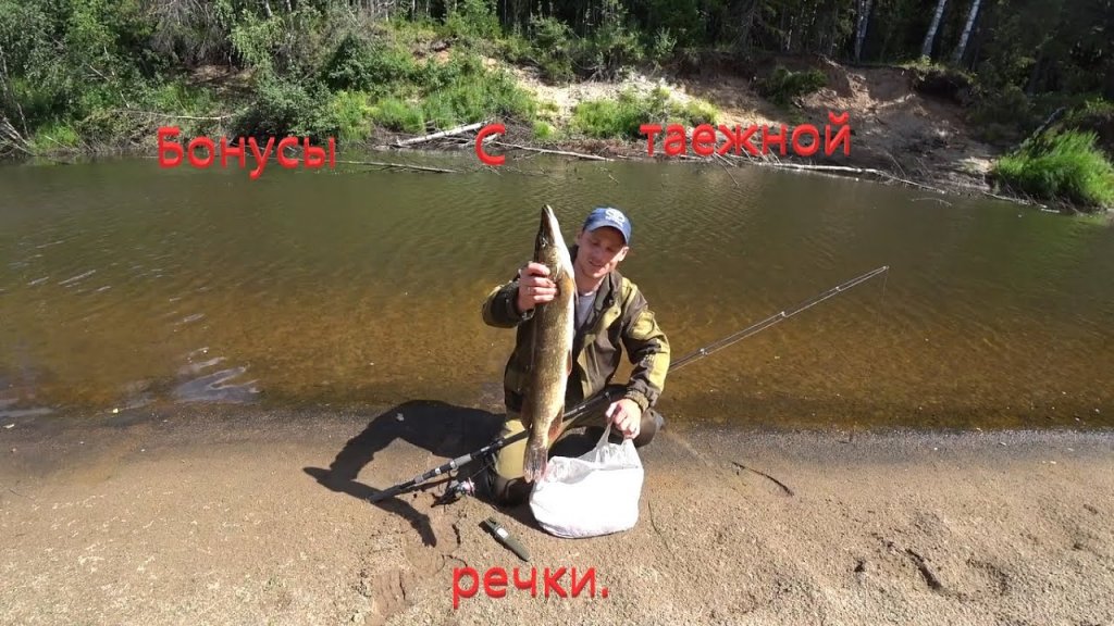 Бонусы с таежной речки. Бонусы с таежной речки.