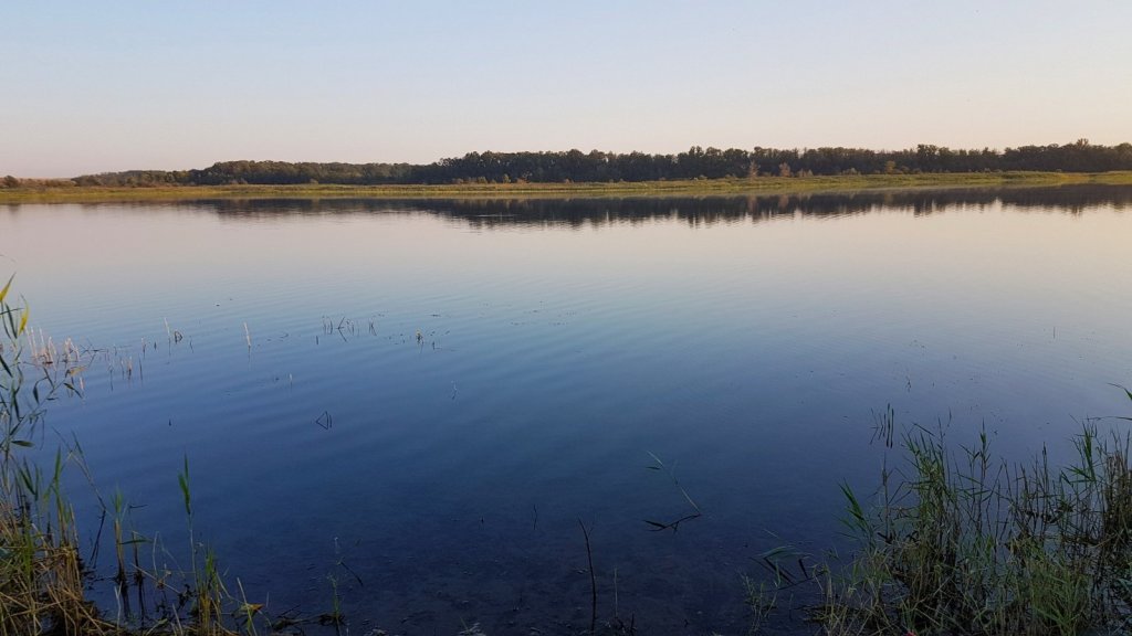 За лещем в гостях За лещем в гостях