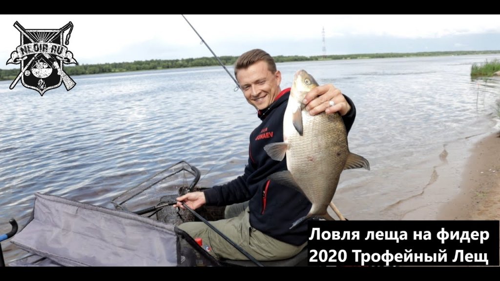 Рыбалка лещ на фидер 2020 Трофейный Лещ.
