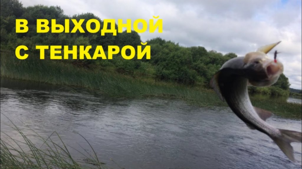 В выходной с тенкарой!