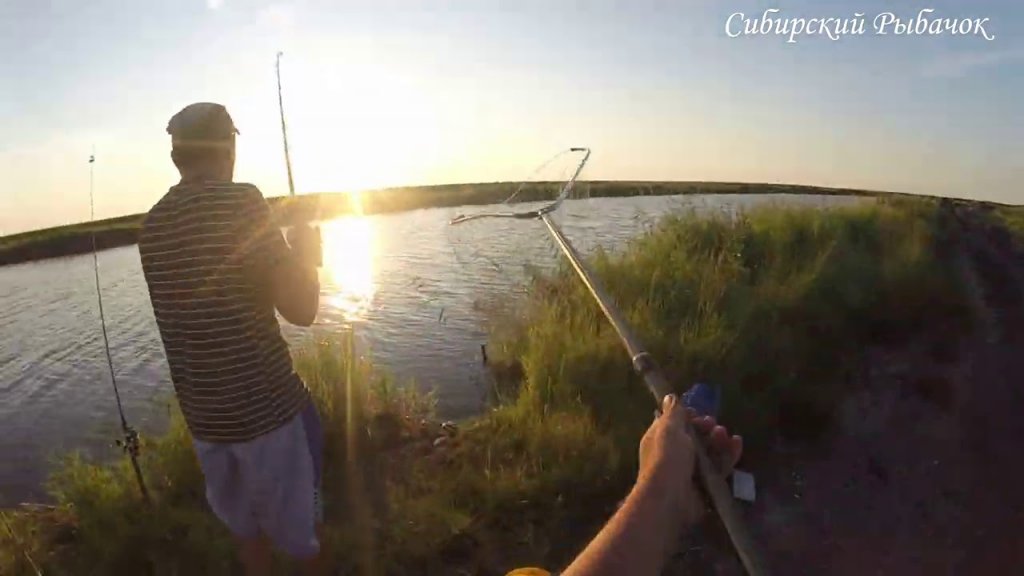 Рыбалка с ночёвкой на СОСКИ на реке Чулым. Сибирь 2020!