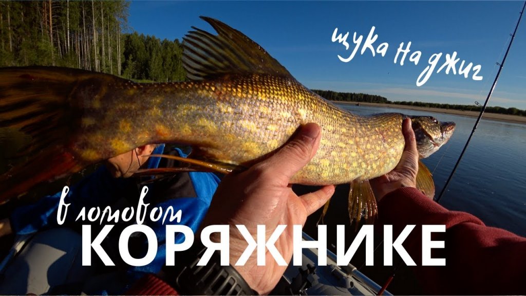 ЛОВЛЯ ЩУКИ В КОРЯЖНИКЕ / Рыбалка на спиннинг с лодки / 4К