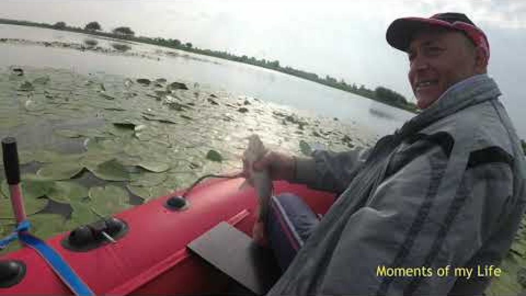 Ловля карася с лодки в кувшинках на болоте