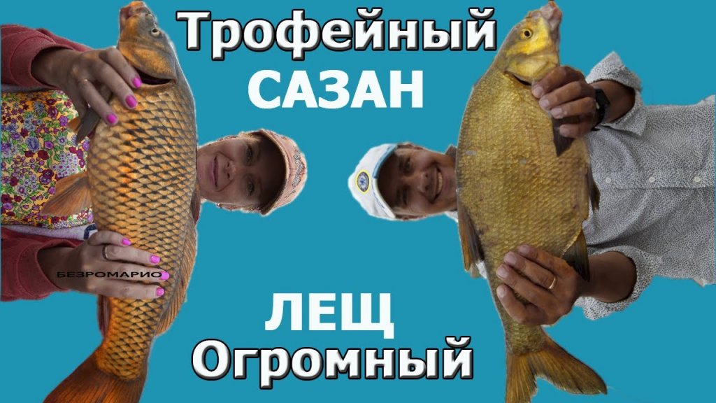 Трофейный сазан с лодки