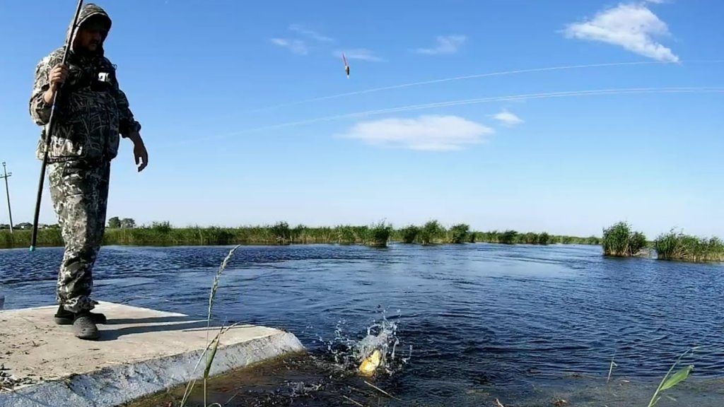 Сибирский Регион Рыбалка Видео Новое 2022 Год