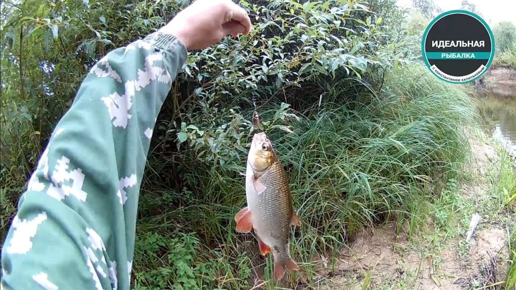 Рыбалка на лесной речке