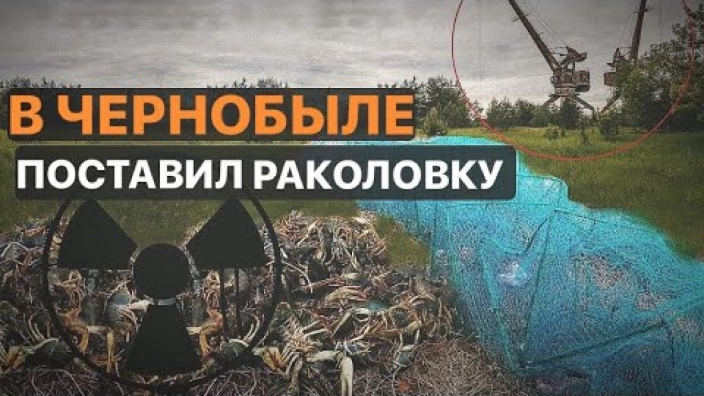 Поставил раколовку в Чернобыле Поставил раколовку в Чернобыле