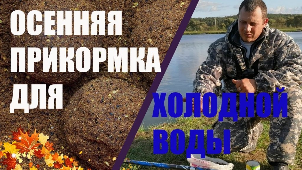 Самая эффективная осенняя прикормка. Чем прикормить рыбу осенью??? Как прикормить рыбу осенью