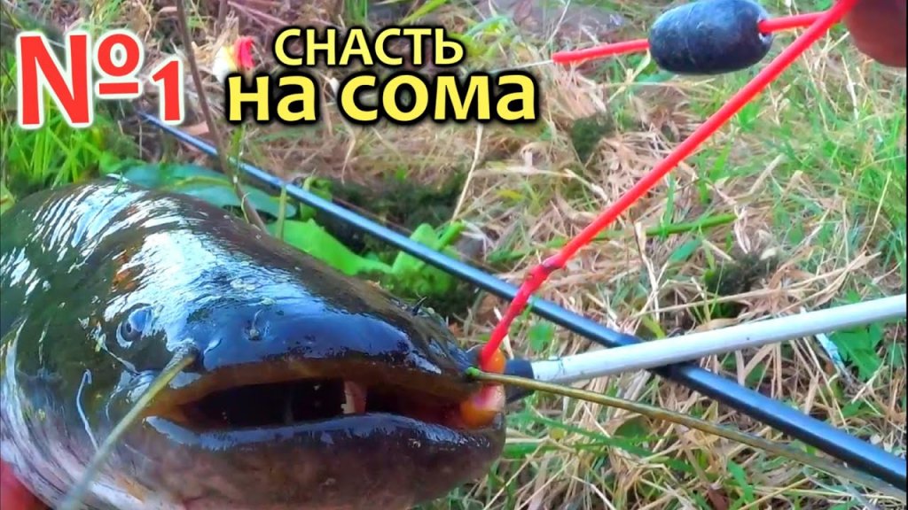 100% Уловистый монтаж на сома. Снасть на сома с подводным поплавком на течении своими руками 100% Уловистый монтаж на сома. Снасть на сома с подводным поплавком на течении своими руками